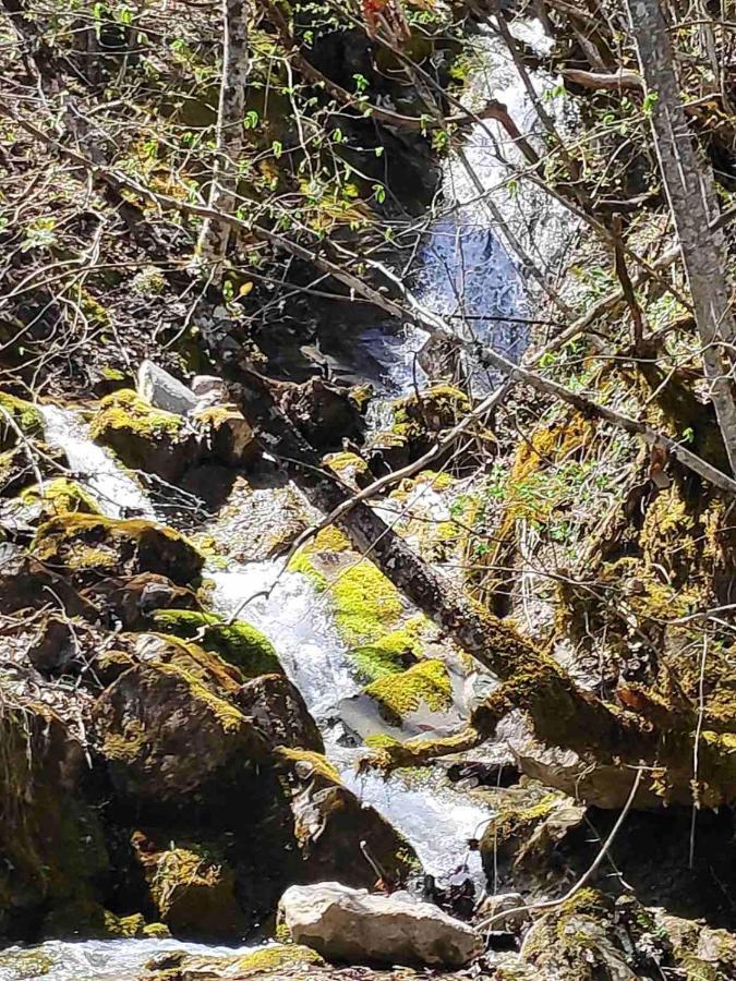 Cottage Kolekjeski Struga Eksteriør bilde