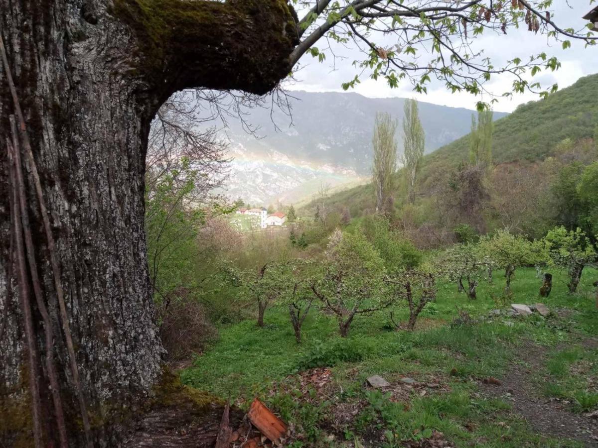 Cottage Kolekjeski Struga Eksteriør bilde