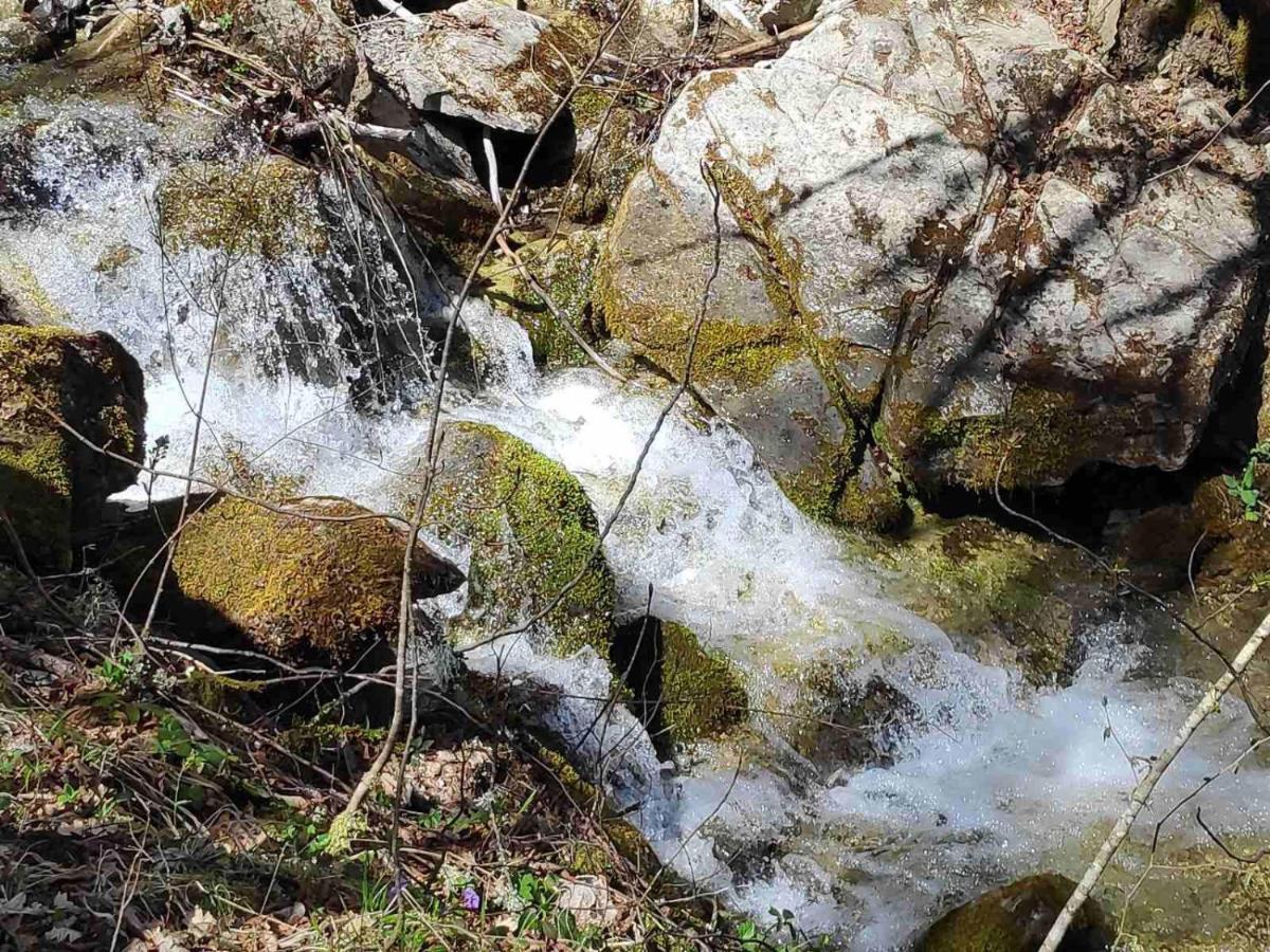 Cottage Kolekjeski Struga Eksteriør bilde