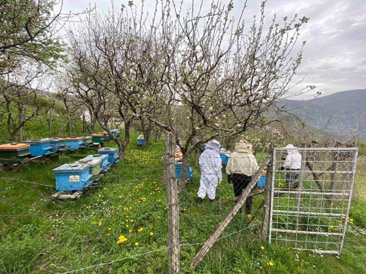 Cottage Kolekjeski Struga Eksteriør bilde