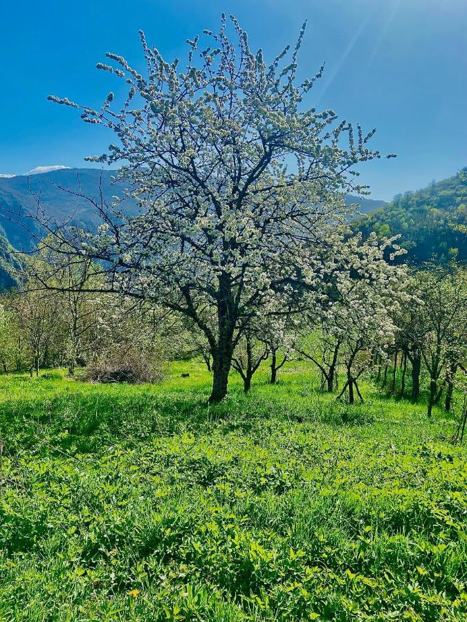 Cottage Kolekjeski Struga Eksteriør bilde