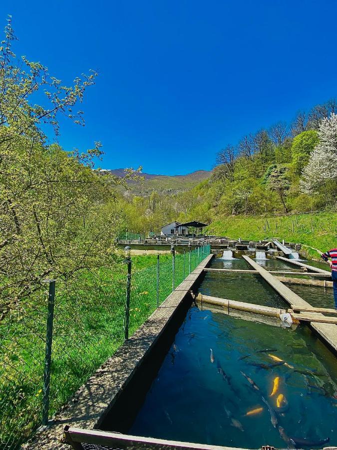 Cottage Kolekjeski Struga Eksteriør bilde