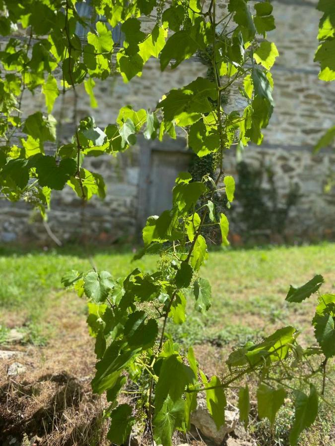 Cottage Kolekjeski Struga Eksteriør bilde